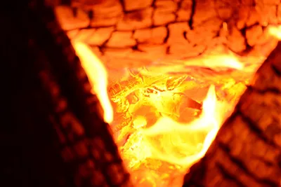 DSC_0152 (Large).JPG